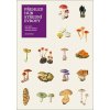 Přehled hub střední Evropy (Antonín Bielich, Miroslav Beran, Jan Holec)