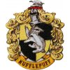 Nažehlovačka znak Mrzimoru Harry Potter Monoquick