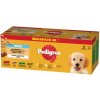 PEDIGREE Junior mokré krmivo pre šteniatka v želé 40x100g