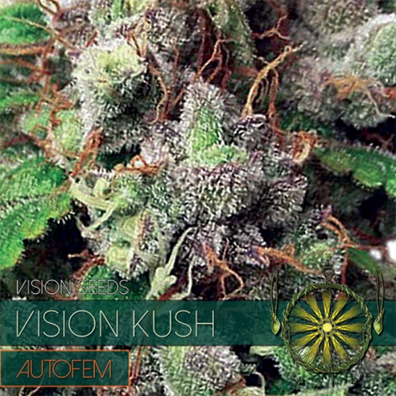 Vision Seeds Vision Kush AutoFem 0% THC Balenie: 5 ks