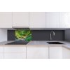 DIMEX | Dibond doska za kuchynskú linku | DBW-06040-134 Botanická záhrada | 60 x 40 cm + Dibond obkladová doska Dimex do kuchyne Botanická záhrada v rozmere 60 x 40 cm