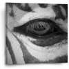 Sablio Obraz Oko zebry - 50x50 cm