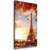 Vertikálny foto obraz na plátne Eiffelová veža Paríž 50x100 cm