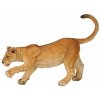 PAPO PAPO Mladý lev