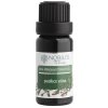Nobilis Tilia Škorica - kôra éterický olej Objem: 10 ml