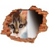 Fototapeta diera na stenu Malá mačka nálepka 90x70 cm