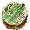 Fondánový jedlý papier na tortu futbalové ihrisko 20 cm - Dekora