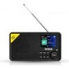 TESLA SOUND DAB65