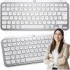 Logitech MX Keys Minimalist Keyboard 920-010499