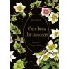 Cumbres borrascosas (El Jardín Secreto) (Emily Brontë)(Pevná)