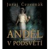 CD Juraj Červenák - Anděl v podsvětí (2x Audio na CD - MP3)