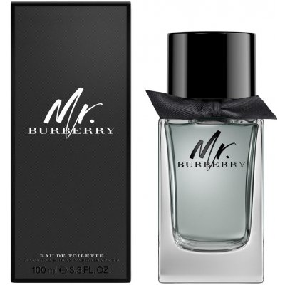 Burberry Mr. Burberry toaletná voda pánska 100 ml