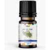 Bio čajovníkový olej - Tea Tree oil - 10ml