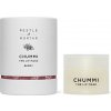 Pestle & Mortar Chummi The Lip Mask Berry vyživující hydratující a obnovující maska na rty 20 g