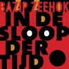 CD Bazip Zeehok - IN DE SLOOP DER TIJD