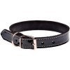COBBYS PET Obojok z pravej kože s vysokým leskom čierny prešitý bielou niťou 45cm/20mm