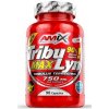 Amix Nutrition Amix TribuLyn Max 90% 90 kapsúl