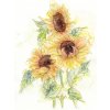 Komar Vliesová fototapeta Girasol 200 x 250 cm