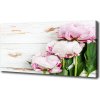 Foto obraz na plátne do obývačky Pivonky 100x50 cm