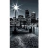 Dimex fototapeta MS-2-0016 Boston čiernobiely 150 x 250 cm