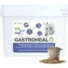 Dromy GastroHeal MASH 6kg
