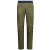 La Sportiva Roots Pants Men zelená