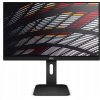 LED Monitor AOC X24P1 24