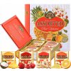 Basilur Fruit Infusions Book Fruity Delight plech 32 x 1,8 g
