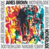 Brown James - Motherlode / Vinyl / 2LP [2 LP]