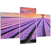 Obraz levanduľové polia (Obraz 90x60cm)