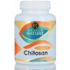 Golden Nature Chitosan + Vitamin C 100 cps