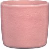 Obal 900 Rosea lesk 21 - 2 ks