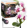 ZÁHRADNÁ SOLÁRNA LED LAMPA ZAPICHOVACIA KVET ORCHIDEA