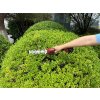 Nožnice Worcraft CGS-S20LiC ShareSYS, 20V Li-Ion, záhradné, na trávu, 2v1