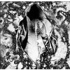 Antagonist A.D. - Haunt Me As I Roam [CD]
