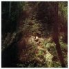 Will Samson - SINGS AGAIN (11 LP)