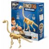 Buki France Dinodig vykopávka a kostra Brachiosaurus