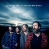 Robinson Chris Brotherhood - If You Lived Here,You ... / Vinyl [LP]