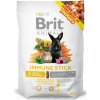 Brit Animals IMMUNE STICK for RODENTS 80 g