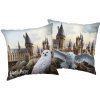JERRY FABRICS Vankúšik Harry Potter Hedwig 02 Polyester, 40/40 cm