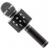 Detský mikrofón Karaoke mikrofón Eljet Globe Black (8594176635354)