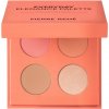 Pierre René Professional paleta na líčenie tváre coral, 10 g