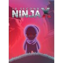 Hra na PC 10 Second Ninja X