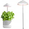 LED svetlo na podporu rastu rastlín 5W 220lm 3000K, teplá biela 110° biela batéria Verdi Kobi