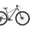Bicykel CTM Charisma 2.0 Matná Tmavosivá / Lesklá Bordová 2025 L (29