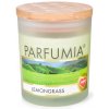 Sójová vonná eko sviečka LEMONGRASS PARFUMIA 250 ml