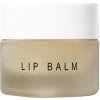 Dr. Barbara Sturm Lip Balm Hydratačný balzam na pery 12 ml