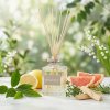 Anuhea vonný difuzer White Tea 400 ml