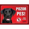 Juko Plastová tabuľa Pozor Pes Labrador čierny 21 x 14,7 cm