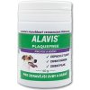Alavis Plaque Free pre psov a mačky 40 g